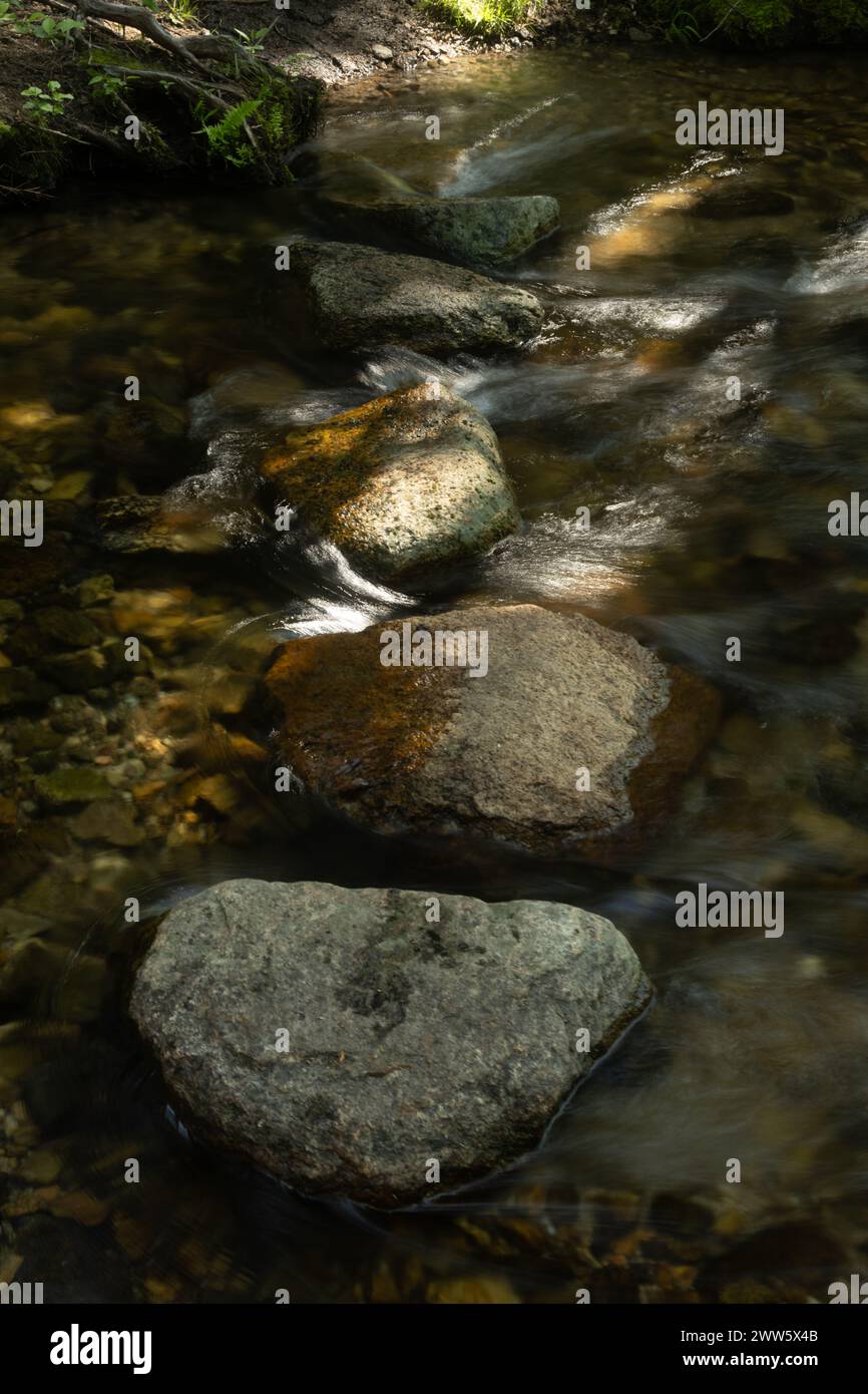 El agua se precipita alrededor de las piedras escalonadas en el Bosque Oscuro Foto de stock