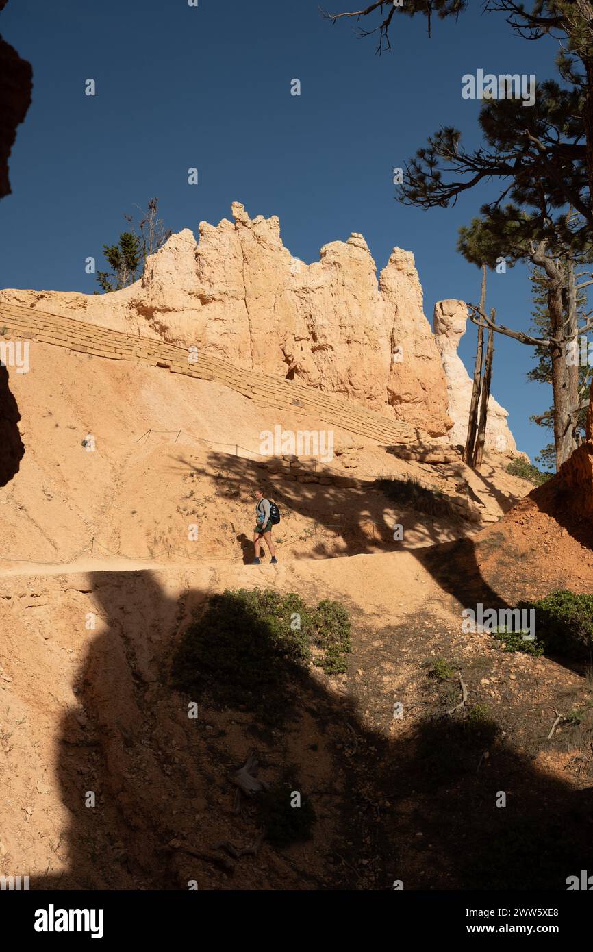 Mujer camina a través de Dirt Trail en Bryce Canyon Foto de stock