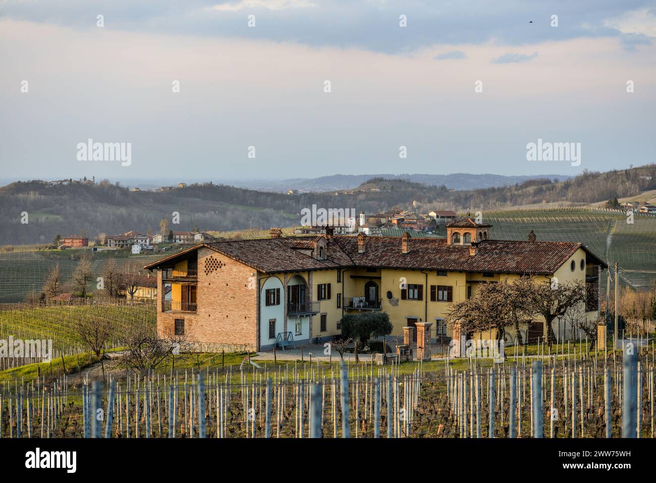 Paesaggio invernale, Langhe, Piemonte, Italia Foto de stock
