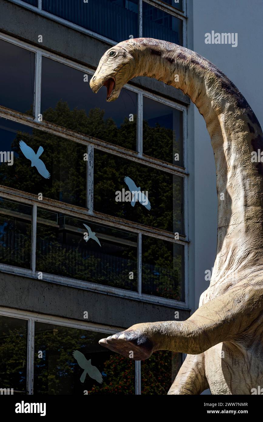 Dinosaurio Apatosaurus, lagarto engañoso, réplica de tamaño natural frente a la Academia Hermann Hoffmann, Justus Liebig University JLU, Ciudad Vieja, Giessen Foto de stock