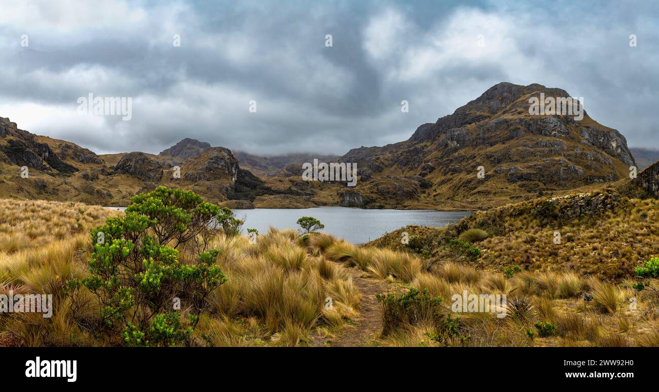 Laguna en el Parque Nacional Cajas en Ecuador Foto de stock