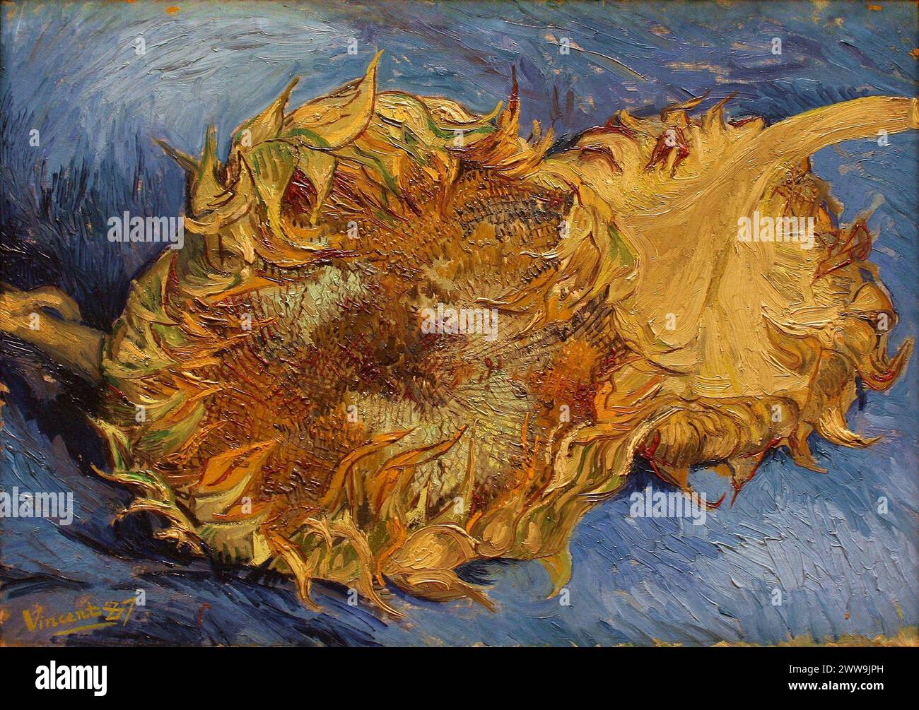 Vincent van Gogh - Girasoles (Museo Metropolitano de Arte) Foto de stock