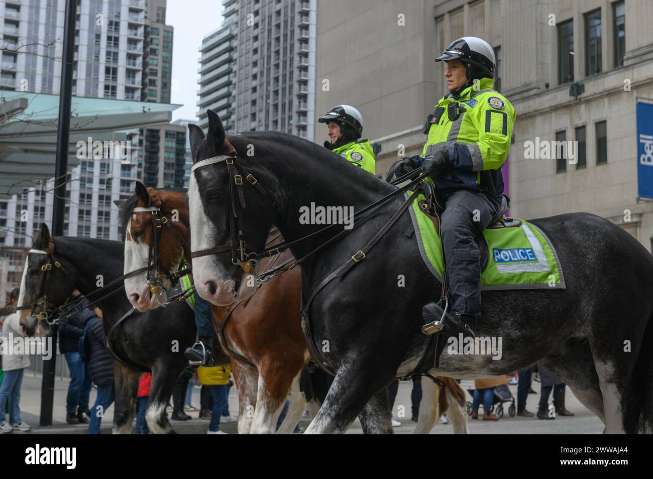 Toronto, ON, Canadá - 17 de marzo de 2024: La policía montada patrulla las calles de Toronto Foto de stock