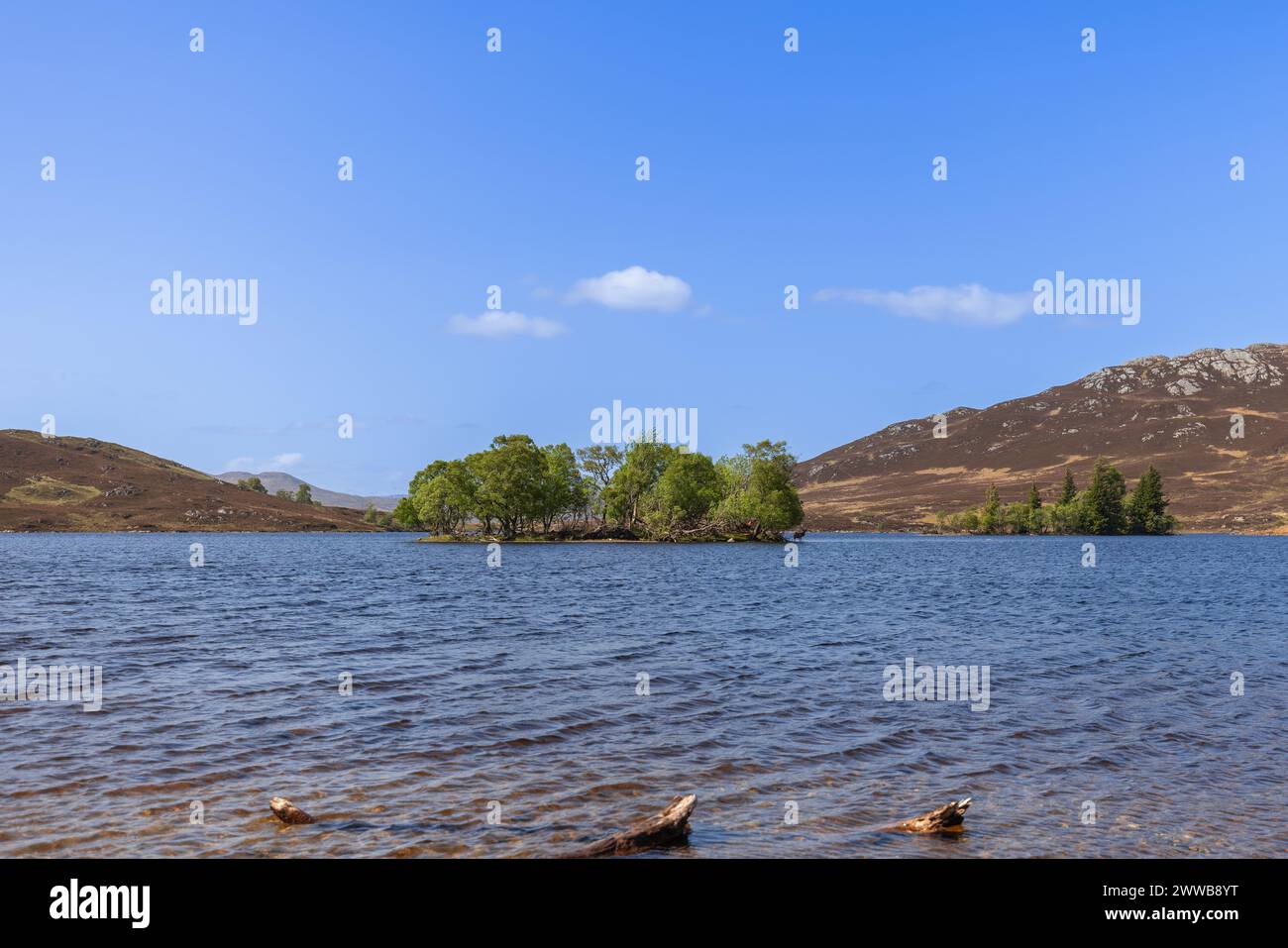 Una escena cautivadora en un lago escocés, con una pequeña isla rica en árboles en el centro. Mientras que los dos ciervos rojos permanecen ocultos Foto de stock