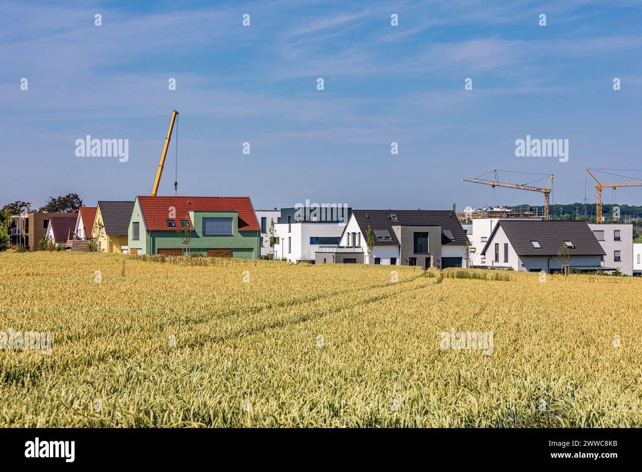 Alemania, Baden-Wurttemberg, Ludwigsburg, Nueva zona de desarrollo con campo en primer plano Foto de stock