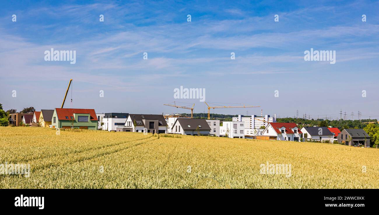 Alemania, Baden-Wurttemberg, Ludwigsburg, Nueva zona de desarrollo con campo en primer plano Foto de stock