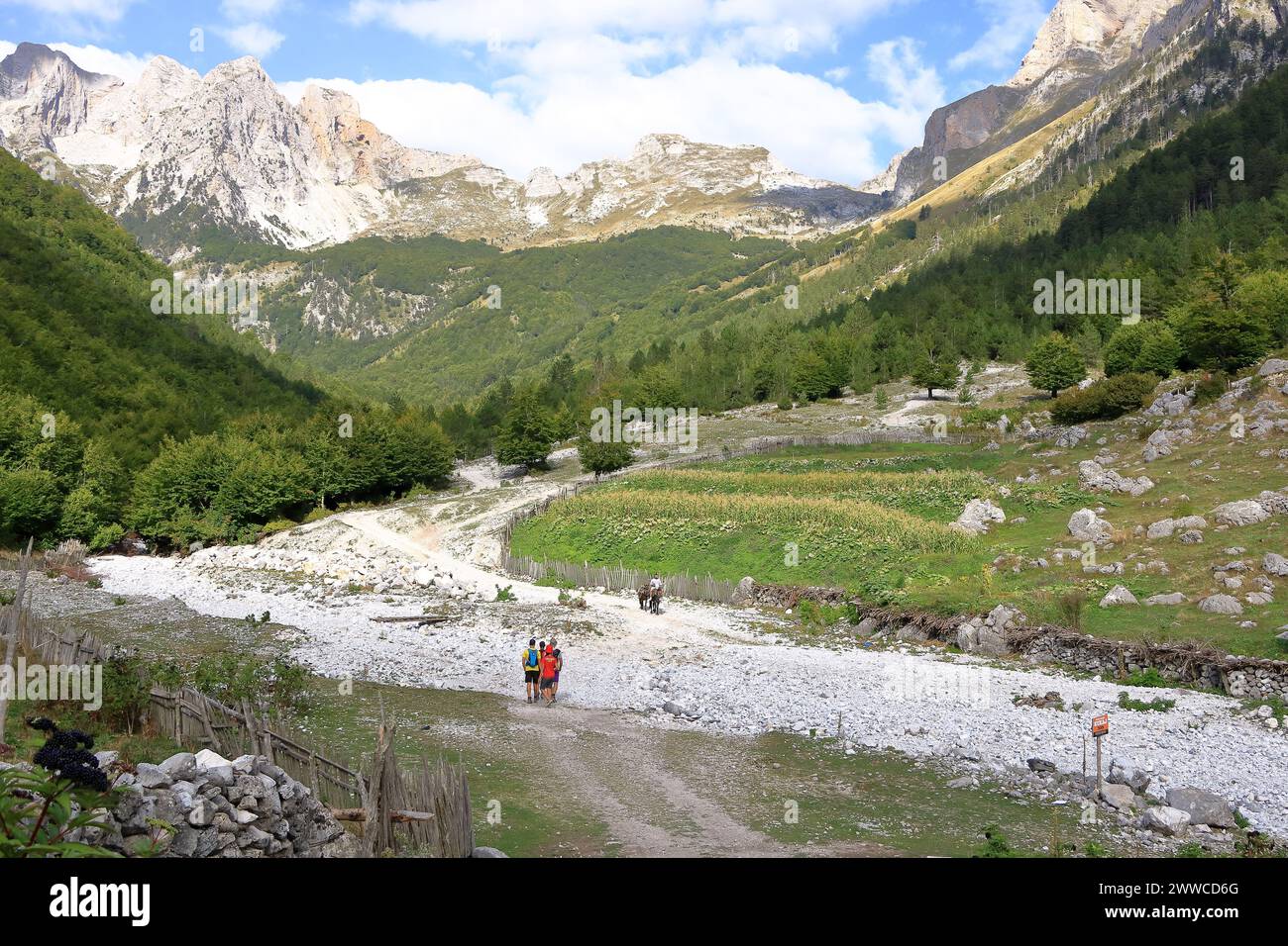 21 de septiembre de 2023 - Valbona en Albania: Un hombre con dos burros está montando en los Alpes albaneses Foto de stock
