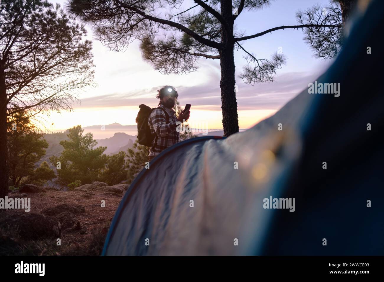 Hombre con faro y sosteniendo el teléfono inteligente cerca de los árboles al atardecer Foto de stock