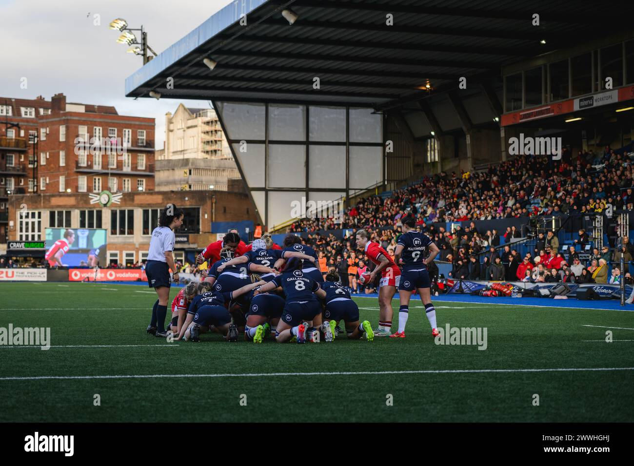 Cardiff, Gales. 23 de marzo de 2024. Scrum preparándose durante el partido de rugby femenino de las seis naciones, Gales contra Escocia en el estadio Cardiff Park Arms en Cardiff, Gales. Crédito: Sam Hardwick/Alamy Live News. Foto de stock