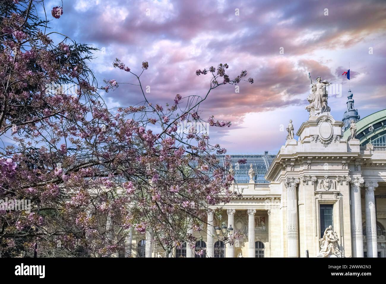 París, el Grand Palais, hermoso edificio en primavera, con un cerezo Foto de stock