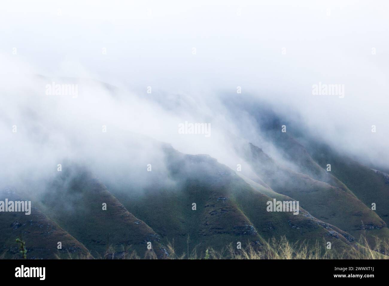 La hierba cubría las crestas y valles de las montañas de Drakensberg en Highmoor, Sudáfrica, oculto por la niebla de la mañana Foto de stock