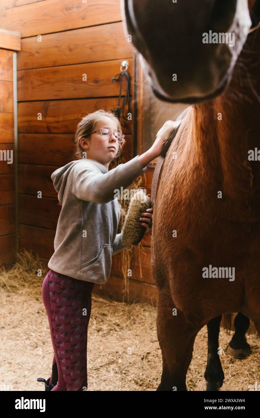 Chica cepillando caballo marrón claro en el puesto de paneles de madera Foto de stock