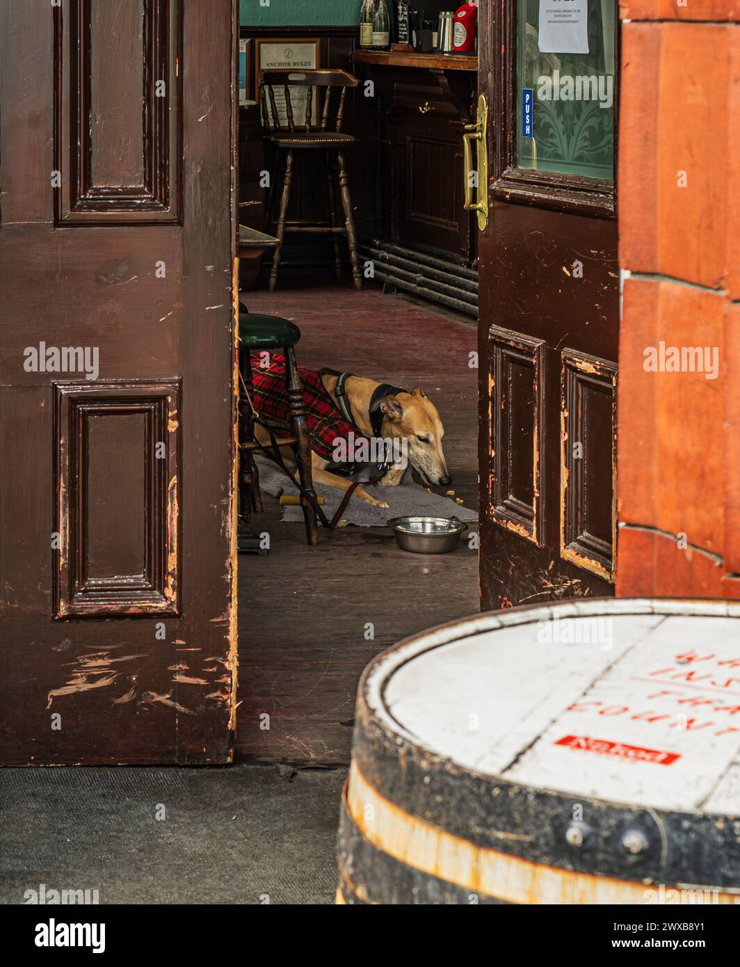 Vista a través de la puerta de madera abierta de un pub de la ciudad con solo un perro visible tumbado en el suelo con un tazón Foto de stock