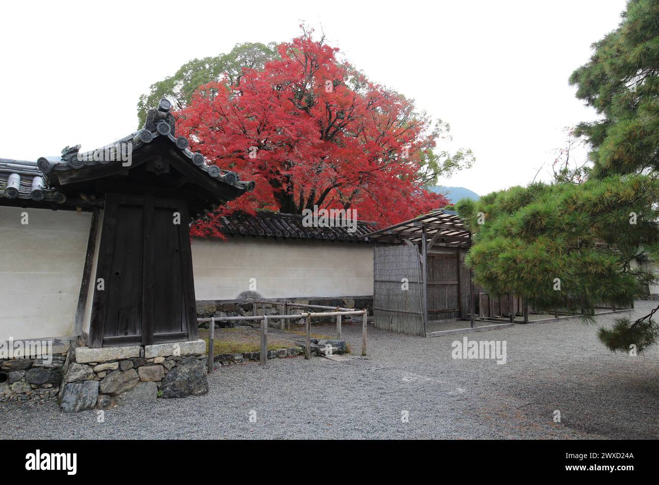 Sanbo-in y hojas de otoño en el templo de Daigoji, Kyoto, Japón Foto de stock