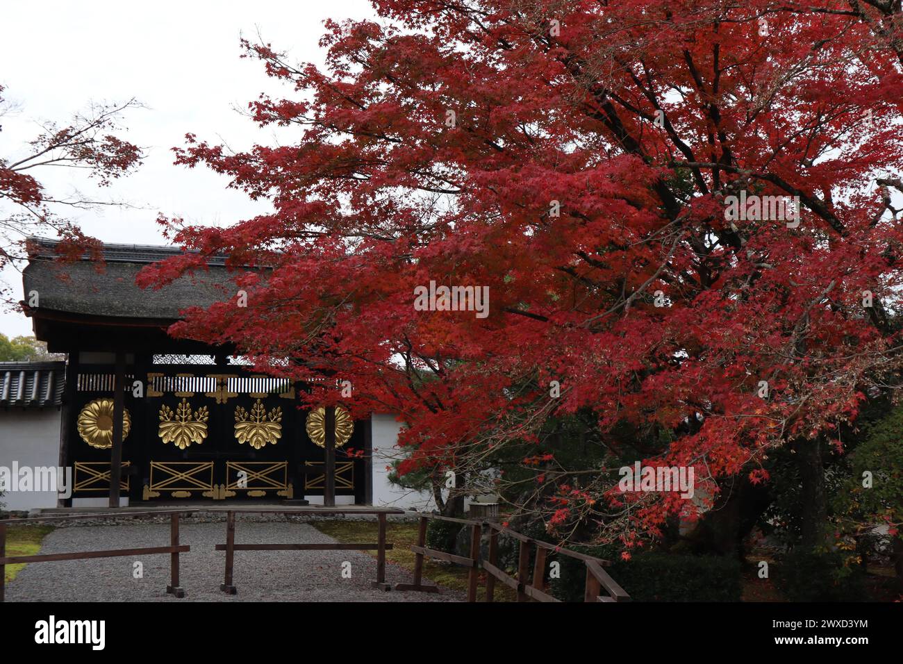 Sanbo-in y hojas de otoño en el templo de Daigoji, Kyoto, Japón Foto de stock