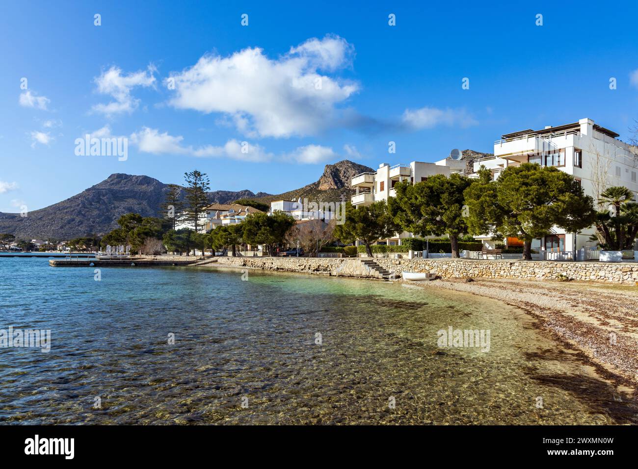 La hermosa bahía de Puerto Pollenca, Mallorca, España con el Paseo del Pino a lo largo del Paseo Marítimo. Puerto de Pollensa Foto de stock