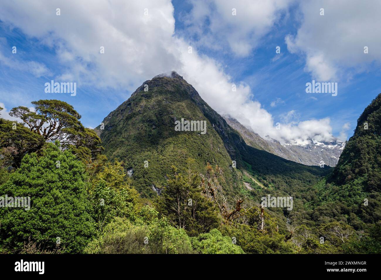 Vista desde el mirador del Valle de Hollyford hacia el pico nevado de Mt Christina, Fiordland National Park, Southland, South Island, Nueva Zelanda Foto de stock