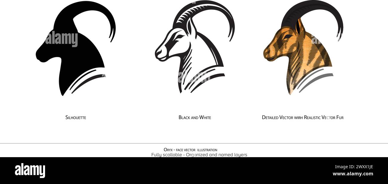 Oryx cara solo ilustración vectorial. Dibujo de animales. Oryx ilustración vectorial detallada. Silueta, blanco y negro. Capas organizadas y nombradas Ilustración del Vector