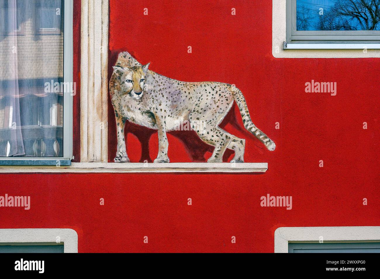 Pintura de leopardo en la pared roja, Allgaeu, Swabia, Baviera, Alemania Foto de stock