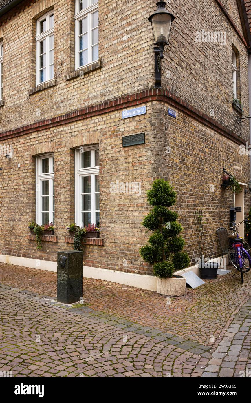 Casa histórica de ladrillo con linterna y ciprés simulado (Chamaecyparis) en Schweinemarkt en Warendorf, distrito de Warendorf, Renania del Norte-Westfalia, Alemania Foto de stock