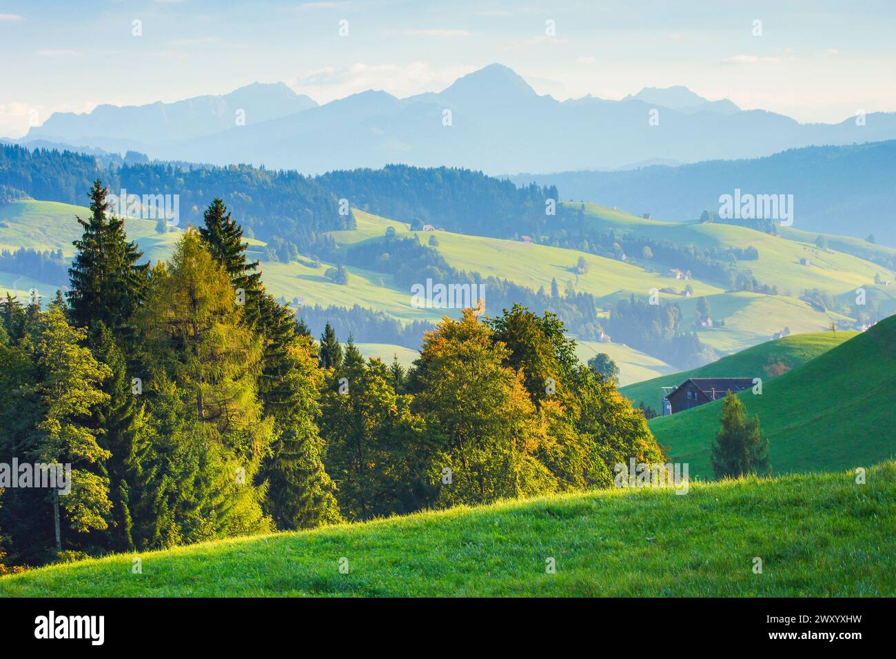 appenzell paisaje en otoño, Suiza, St. Gallen Foto de stock