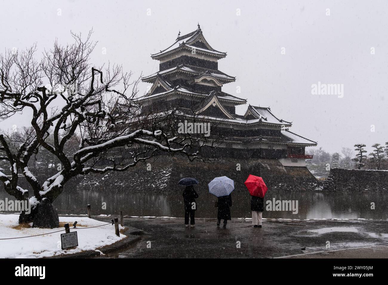 Matsumoto, Japón - 25 de febrero de 2024: La gente disfruta de la vista del famoso castillo de Matsumoto bajo una nevada en los alpes japoneses en invierno. Foto de stock
