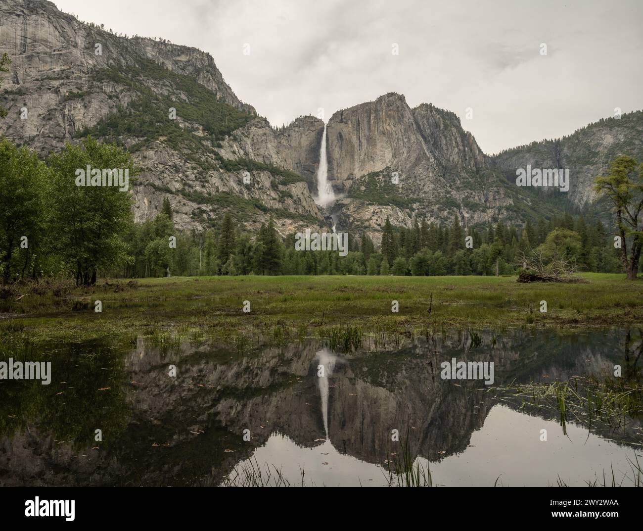 La caída de Yosemite se refleja en las aguas tranquilas que inundan el valle durante un año de nieve alta Foto de stock
