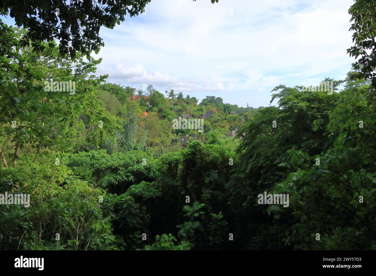 Casas de vida en los alrededores verdes en Campuhan Ridge Walk cerca de Ubud, Bali en Indonesia Foto de stock