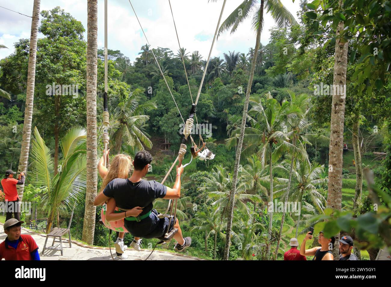 Tegallalang, Bali en Indonesia - 31 de enero de 2024: Gente hermosa se balancea en el campo de arroz Foto de stock