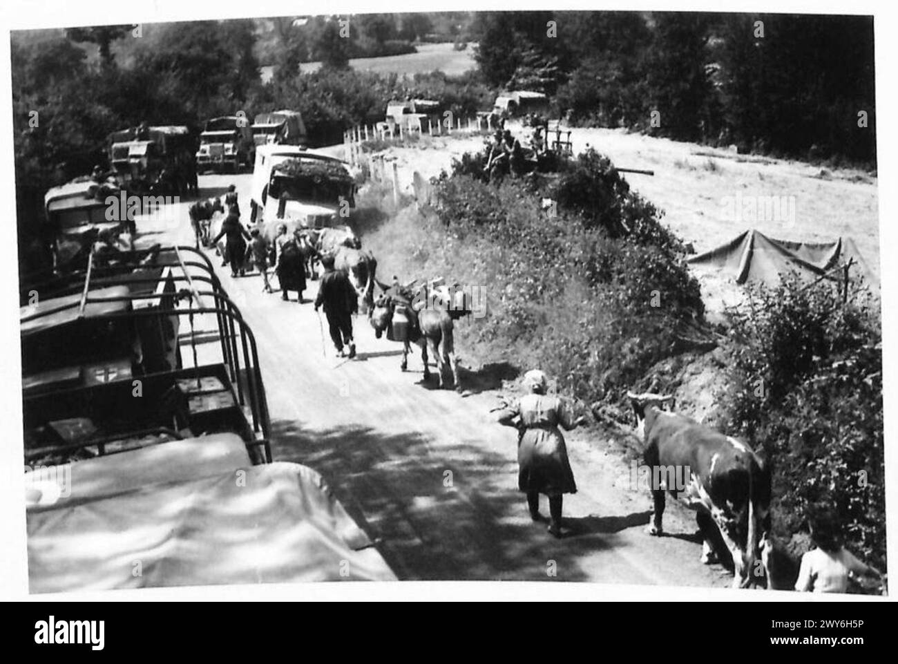 EL AVANCE BRITÁNICO EN EL SECTOR CENTRAL CONTINÚA - el avance británico en el sector central del frente de Normandía al sur de Le Beny Bocage continúa. A medida que nuestros vehículos avanzan por las carreteras, se ven escenas como esta, donde los refugiados franceses se mezclan con el tráfico. , British Army, 21st Army Group Foto de stock