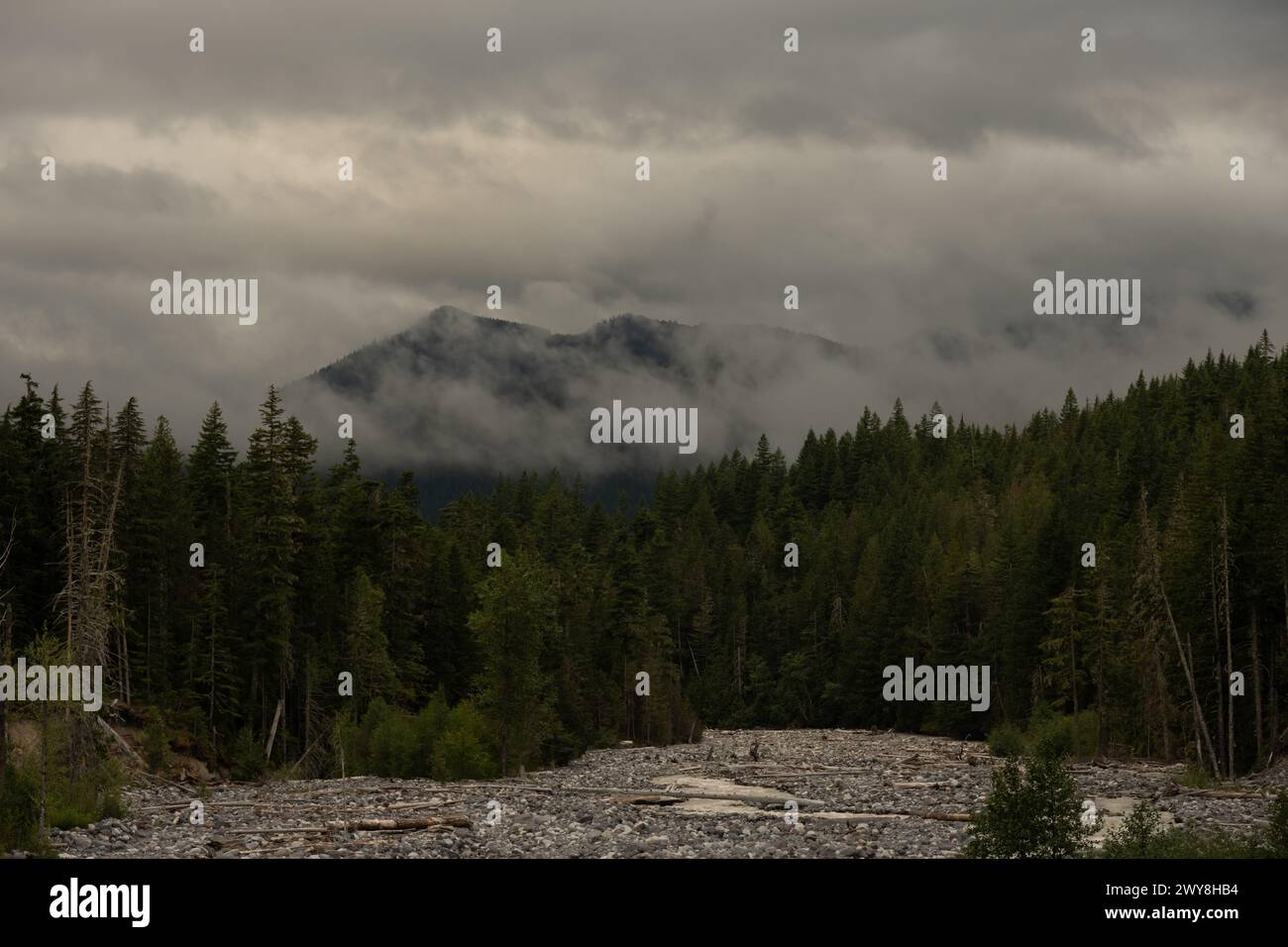 Niebla y Nubes se mueven sobre las montañas debajo del Monte Rainier sobre el río Nisqually Foto de stock