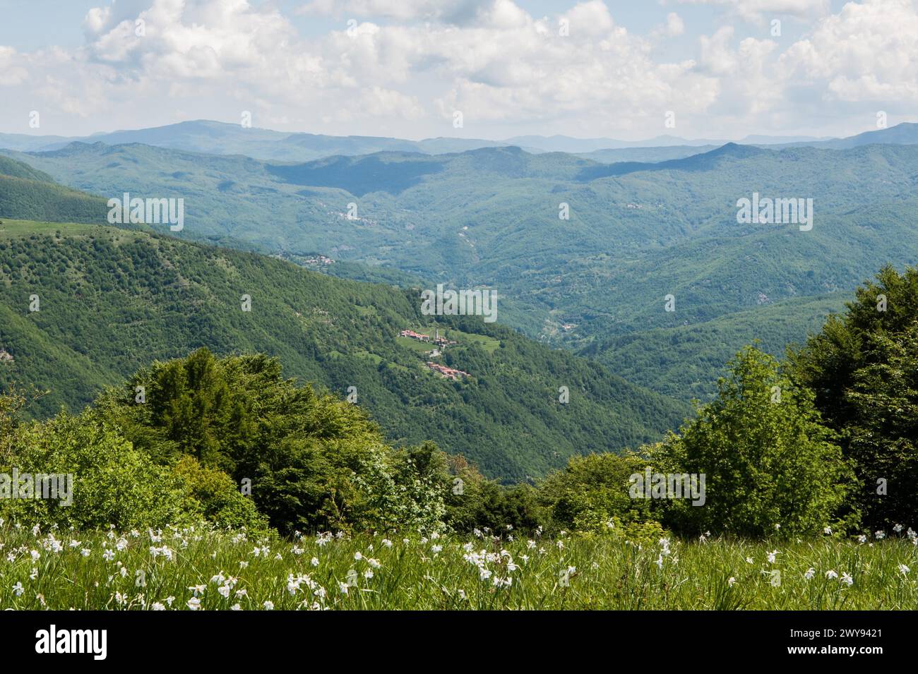 Vista a la montaña, italia Foto de stock