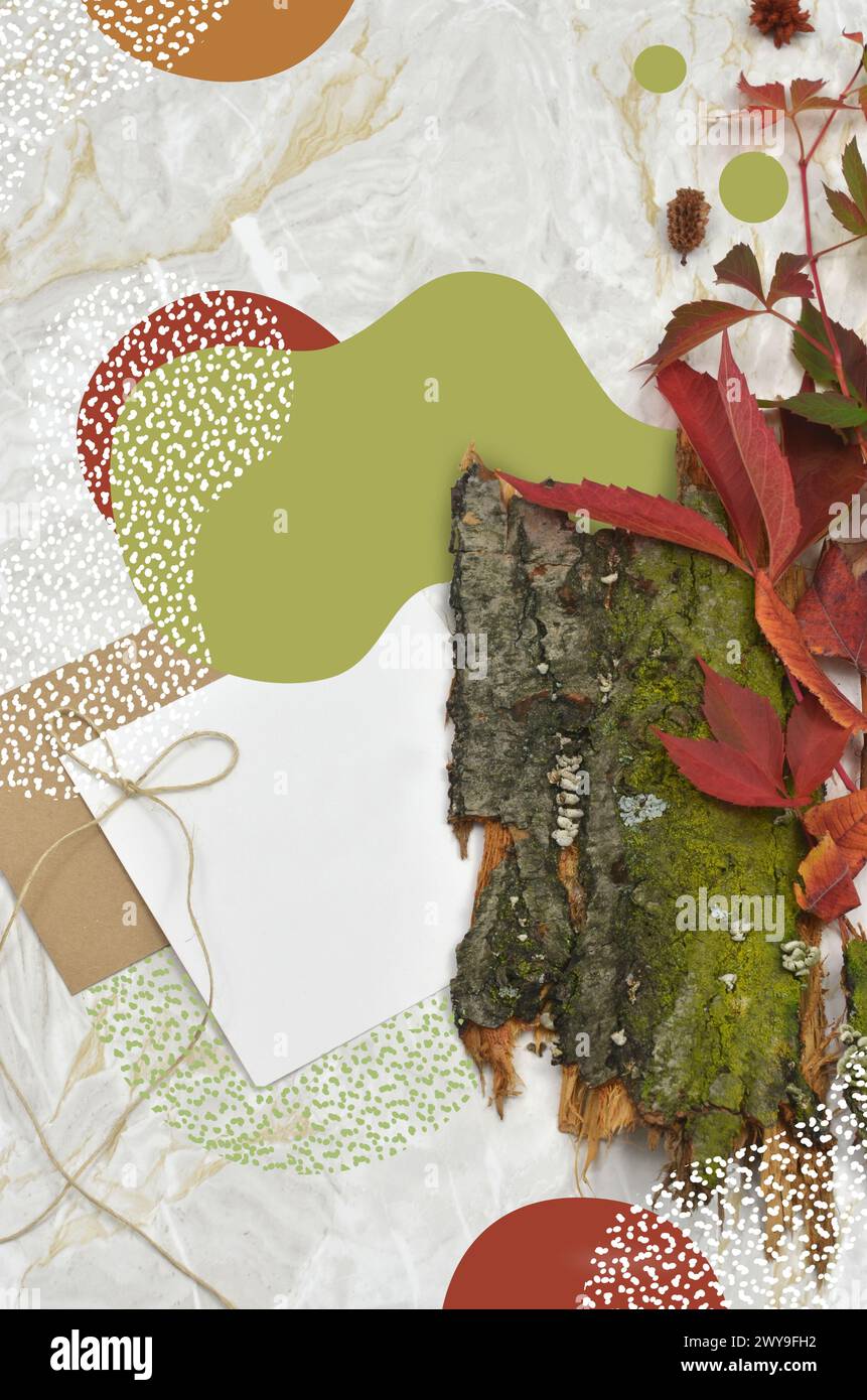 Collage: Hojas, semillas, corteza de árbol, formas vectoriales y un pedazo de papel en el que se puede escribir algo. Vista superior. Foto de stock