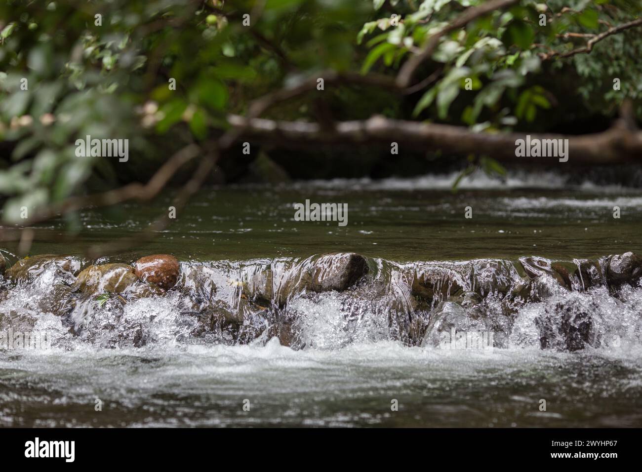 Kepaniwai Park, los jardines de patrimonio aisian en la isla de estatuas mauifeature, árboles imponentes, una pagoda, peces koi y hermosos alrededores Foto de stock