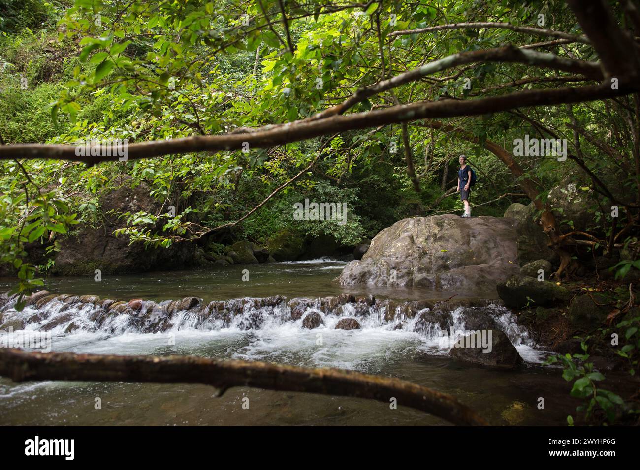 Kepaniwai Park, los jardines de patrimonio aisian en la isla de estatuas mauifeature, árboles imponentes, una pagoda, peces koi y hermosos alrededores Foto de stock