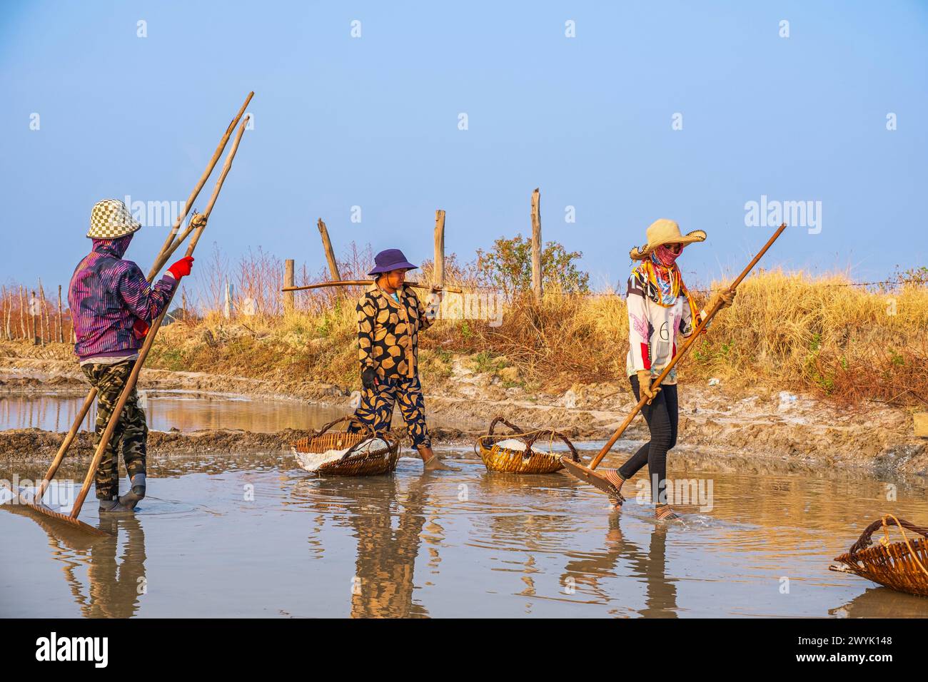 Camboya, provincia de Kampot, Kampot, Traeuy Kaoh o Fish Island, marismas, cosecha de sal Foto de stock