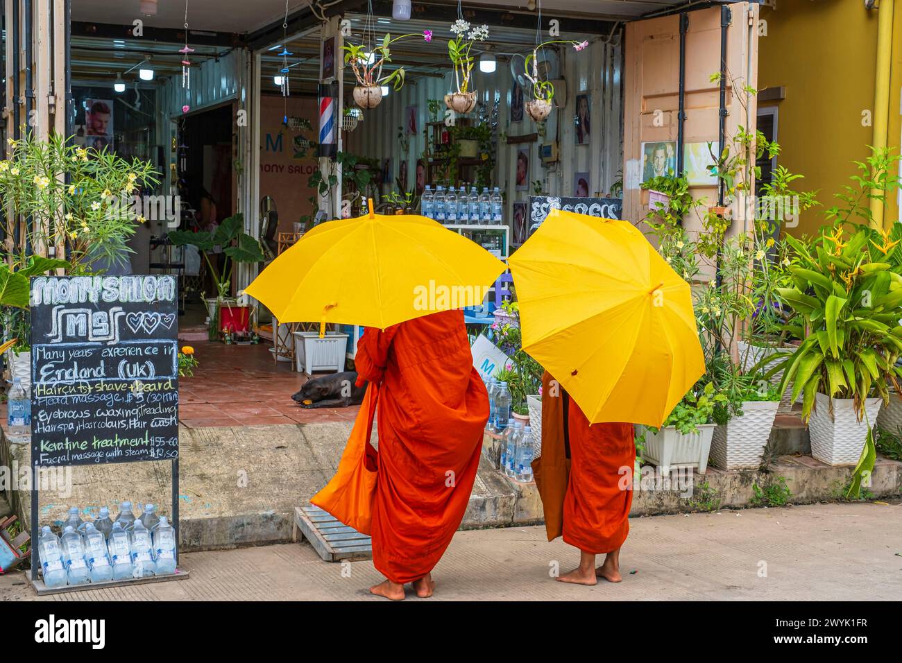 Camboya, provincia de Kampot, Kampot, jóvenes monjes budistas que reciben limosnas de los fieles cada mañana Foto de stock