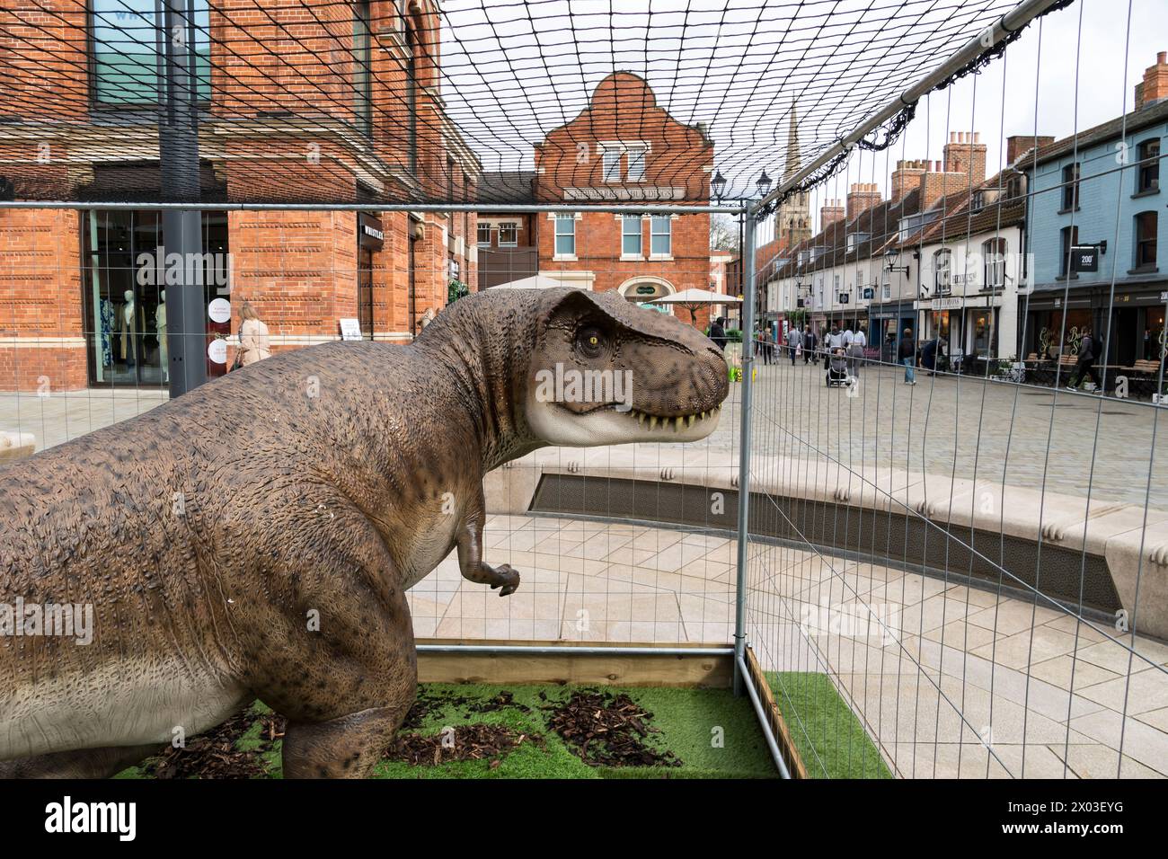 Modelo en jaula de Tyrannosaurus rex, Cornhill, Lincoln City, Lincolnshire, Inglaterra, REINO UNIDO Foto de stock