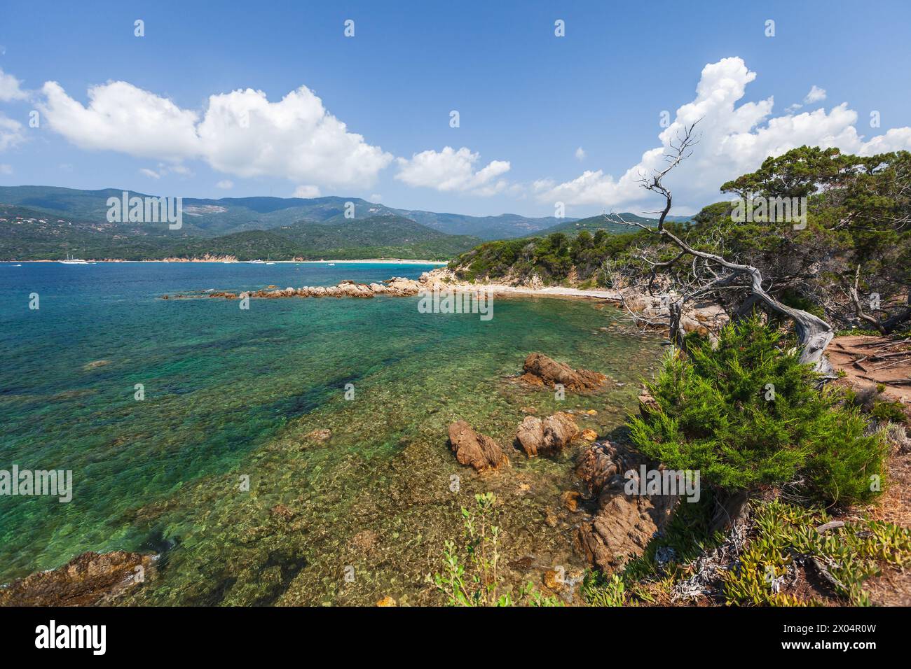 Playa de Cupabia. Paisaje costero de Córcega en un día soleado de verano, Francia Foto de stock