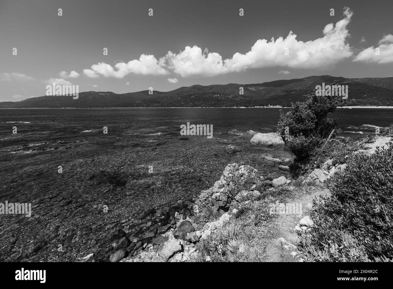 Cupabia playa foto en blanco y negro. Paisaje costero de la isla de Córcega tomado en un día soleado de verano, Plage de Cupabia Foto de stock