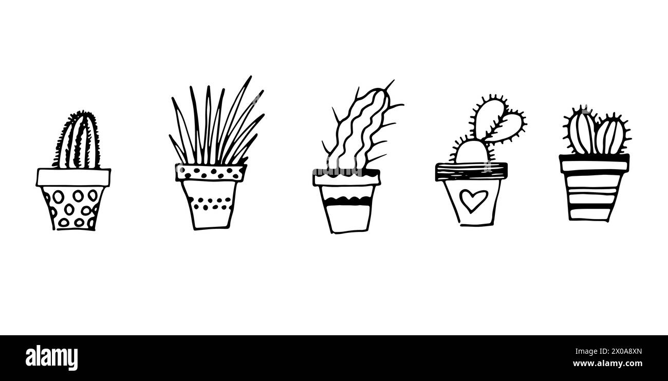 Conjunto de plantas de la casa en macetas con cactus y suculentas. Dibujado a mano plantas vector línea de arte Ilustración del Vector