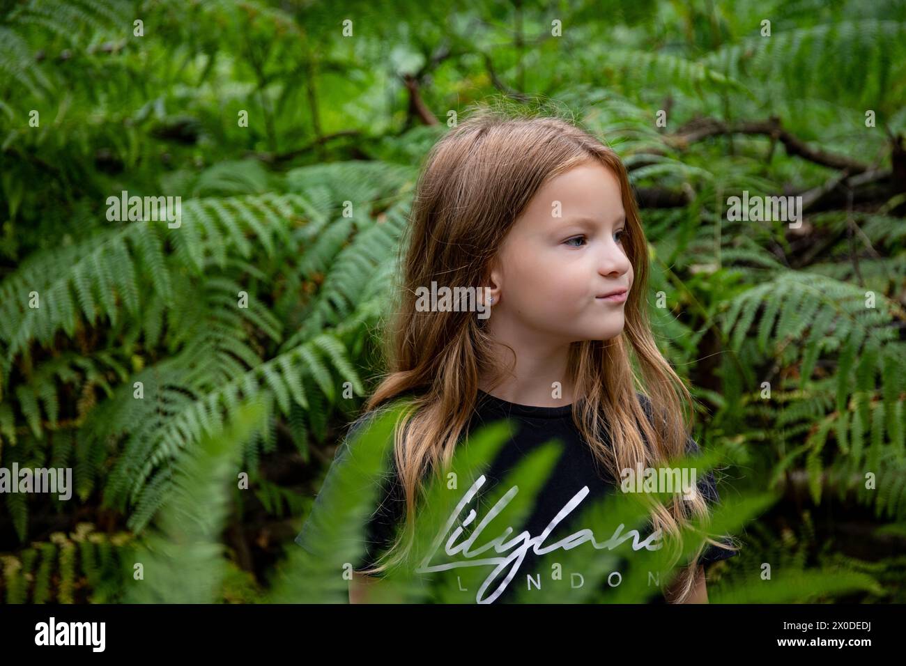 Hermosa chica con el pelo largo en el bosque verde del helecho Foto de stock