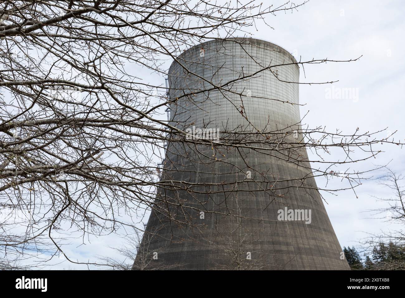 La torre de enfriamiento de la planta de energía nuclear Satsop desmantelada se cierne sobre el Parque de Desarrollo Satsop en Elma Washington el sábado 13 de abril de 2024. Foto de stock
