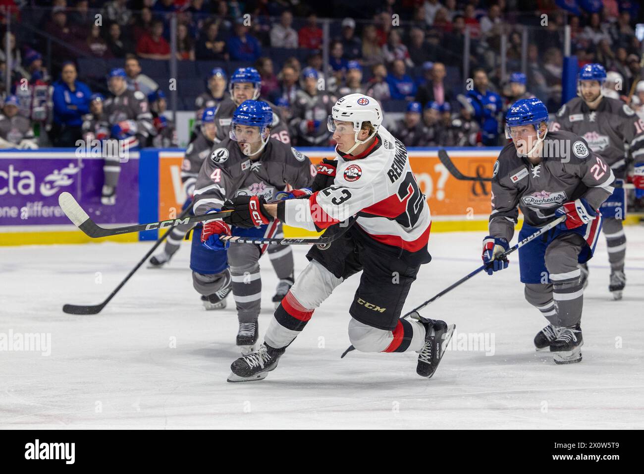 13 de abril de 2024: El delantero de los Senadores de Belleville Cole Reinhardt (23) patina en el primer período contra los Americanos de Rochester. Los estadounidenses de Rochester recibieron a los Senadores de Belleville en la noche de Roc the Rink en un partido de la Liga Americana de Hockey en el Blue Cross Arena en Rochester, Nueva York. (Jonathan Tenca/CSM) Foto de stock