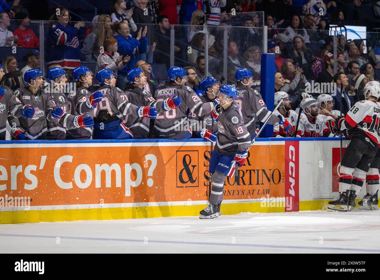 13 de abril de 2024: El delantero estadounidense de Rochester Isak Rosen (18 años) celebra un gol en el primer período contra los senadores de Belleville. Los estadounidenses de Rochester recibieron a los Senadores de Belleville en la noche de Roc the Rink en un partido de la Liga Americana de Hockey en el Blue Cross Arena en Rochester, Nueva York. (Jonathan Tenca/CSM) (Imagen de crédito: © Jonathan Tenca/Cal Sport Media) Foto de stock