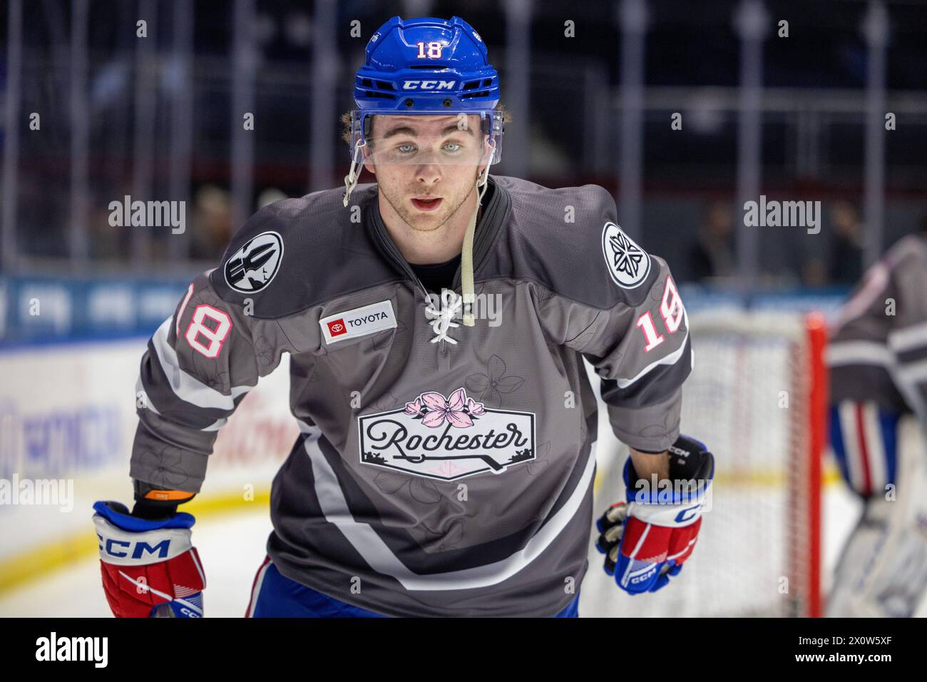 13 de abril de 2024: El delantero estadounidense de Rochester Isak Rosen (18 años) patina en warmups antes de un partido contra los Senadores de Belleville. Los estadounidenses de Rochester recibieron a los Senadores de Belleville en la noche de Roc the Rink en un partido de la Liga Americana de Hockey en el Blue Cross Arena en Rochester, Nueva York. (Jonathan Tenca/CSM) Foto de stock