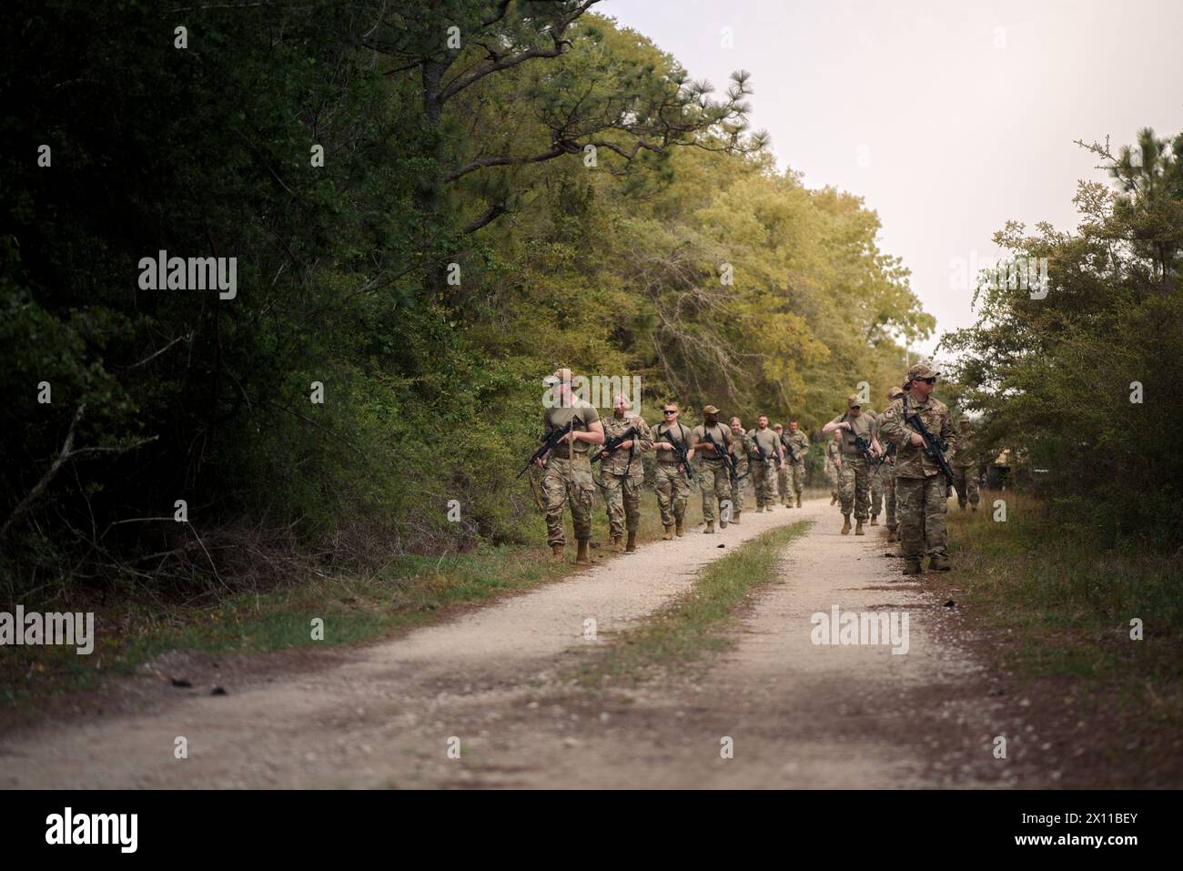 Miembros del 110.º Escuadrón de las Fuerzas de Seguridad practican patrullas y movimiento de tropas en Hurlburt Field, Florida, 9 de abril de 2024. Los instructores del 1er Escuadrón de las Fuerzas de Seguridad de Operaciones Especiales proporcionaron entrenamiento en profundidad a los aviadores de la 110.ª SF en muchas disciplinas de su campo de carrera durante un ejercicio de entrenamiento de una semana de duración. (Foto de la Guardia Nacional Aérea de EE.UU. Por el Aviador Principal Ryan Bishop) Foto de stock