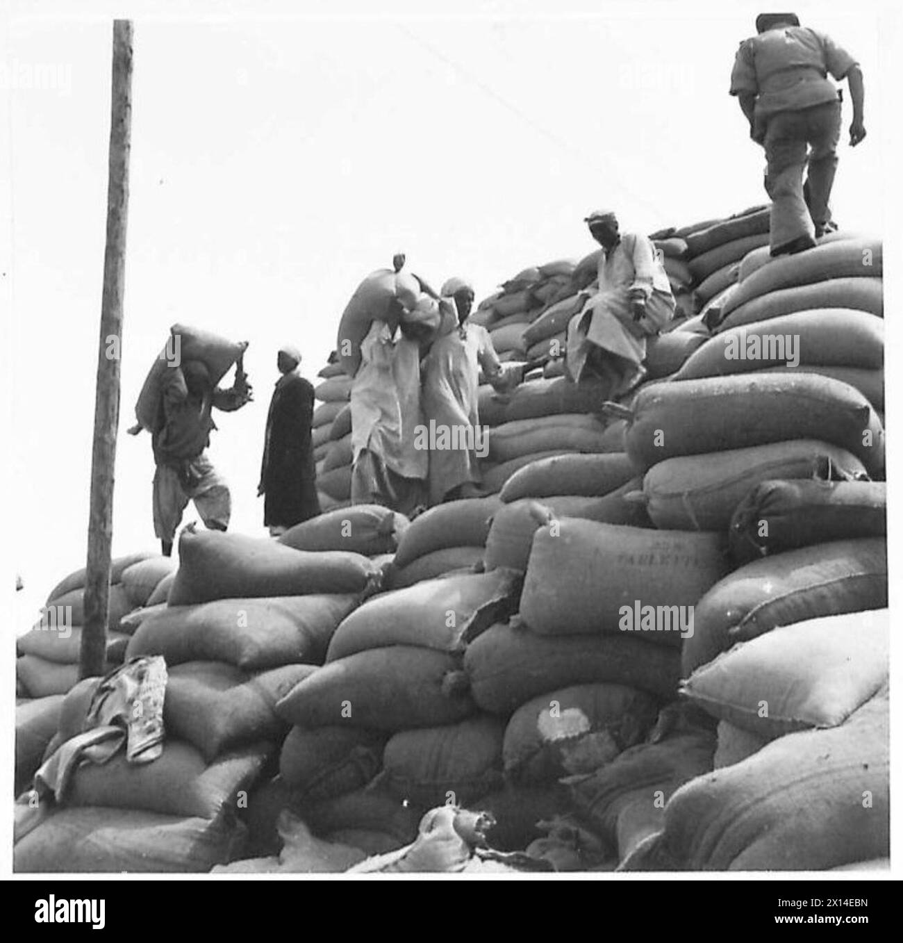 SUMINISTROS DE ALIMENTOS PARA EL MEDIO ORIENTE - Nativos apilando los sacos del Ejército Británico de Trigo Foto de stock