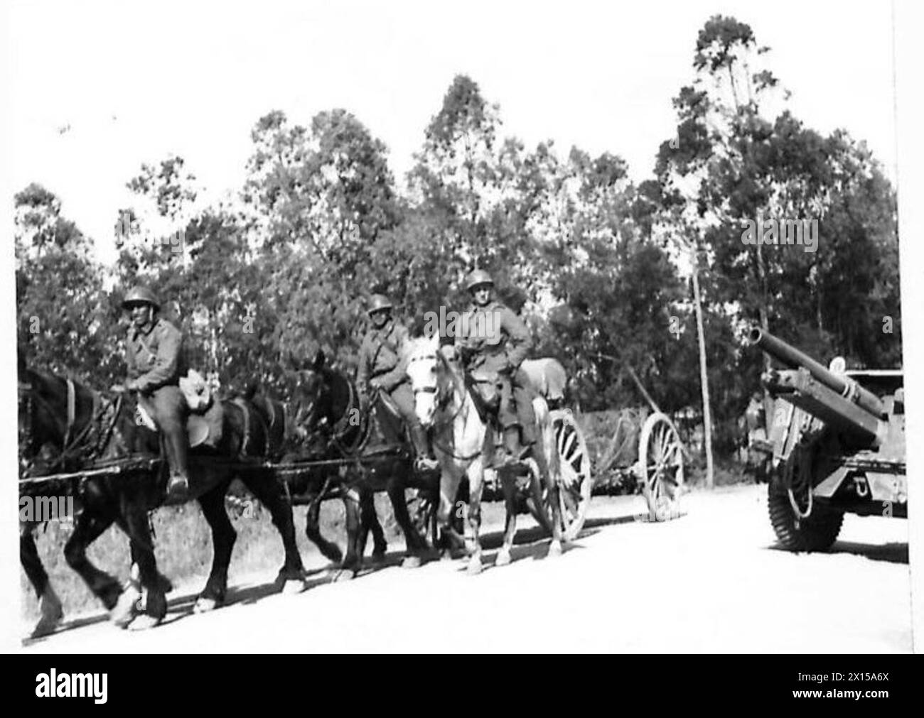 PREPARACIÓN PARA EL ASALTO FINAL A TÚNEZ - Las armas del 62.º Regimiento de Campo Tunecino, artillería francesa, se colocan en Zaghouan, al sur de Túnez para el ataque final del Ejército Británico Foto de stock