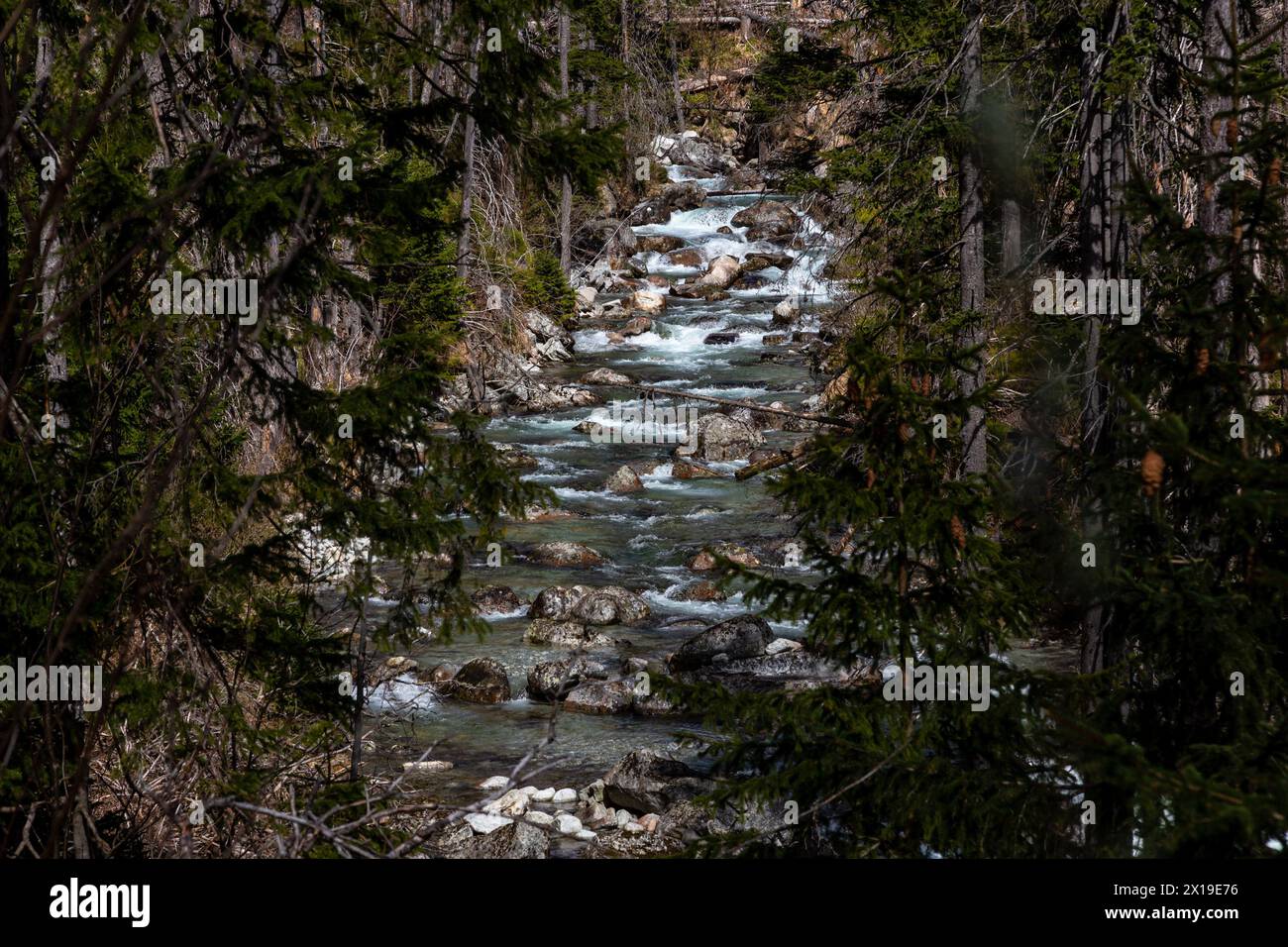 Poprad, Eslovaquia. 13 de abril de 2024. Una vista pintoresca sobre un río de montaña en el valle de Mala Studena, cordillera de Alto Tatra (Vysoke Tatry) en el norte de Eslovaquia. Las temperaturas de este mes de abril son inusualmente altas lo que atrae a más turistas y hace que la nieve en altitudes más altas se derrita. Crédito: SOPA Images Limited/Alamy Live News Foto de stock